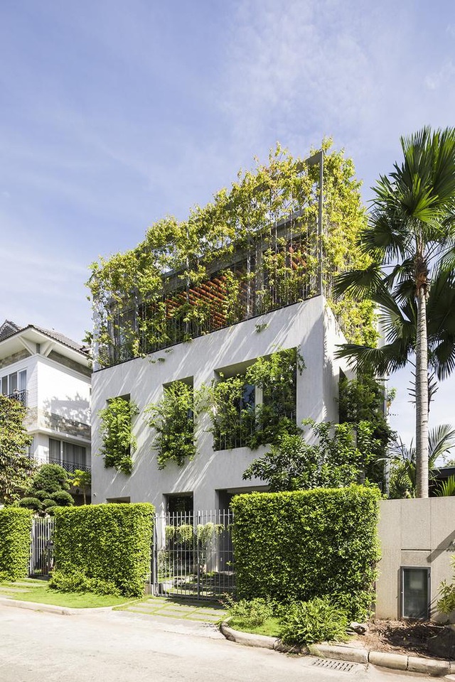 Nhà 3 tầng ở Sài Gòn khiến báo Tây bất ngờ vì đẹp như rừng nhiệt đới-2