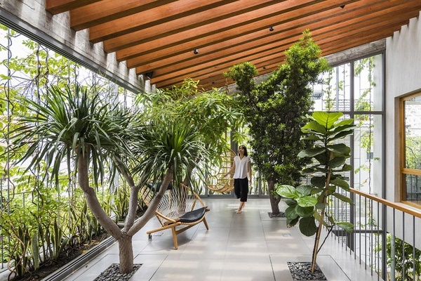 Khám phá khu rừng nhiệt đới Amazon-1