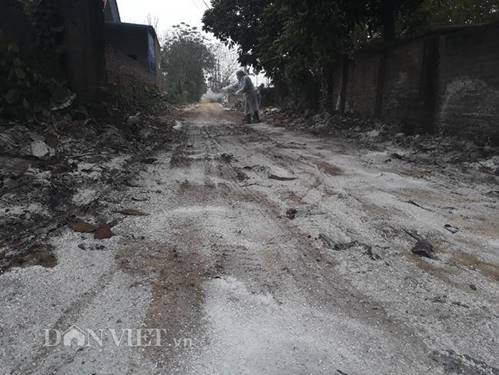 Cám cảnh nơi ổ dịch cúm A/H5N6 đầu tiên phát hiện ở Hà Nội-1