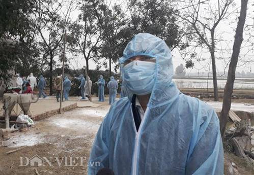 Cám cảnh nơi ổ dịch cúm A/H5N6 đầu tiên phát hiện ở Hà Nội-3