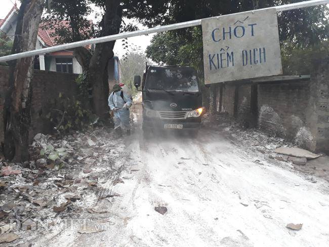 Cám cảnh nơi ổ dịch cúm A/H5N6 đầu tiên phát hiện ở Hà Nội-6