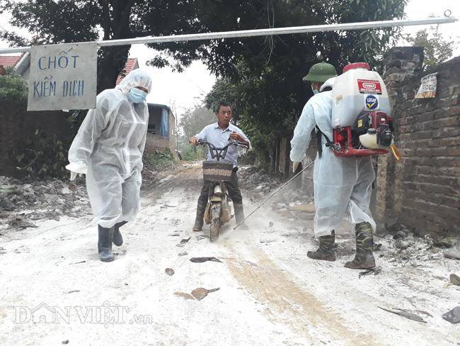 Cám cảnh nơi ổ dịch cúm A/H5N6 đầu tiên phát hiện ở Hà Nội-7