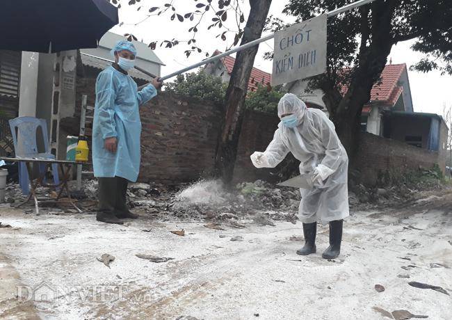 Cám cảnh nơi ổ dịch cúm A/H5N6 đầu tiên phát hiện ở Hà Nội-8