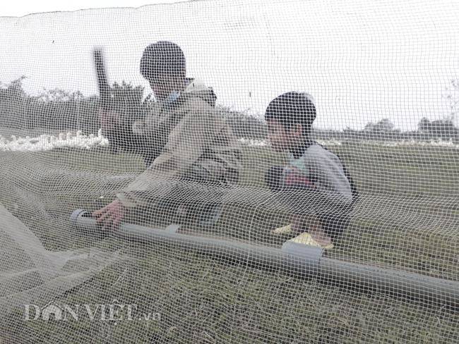 Cám cảnh nơi ổ dịch cúm A/H5N6 đầu tiên phát hiện ở Hà Nội-11