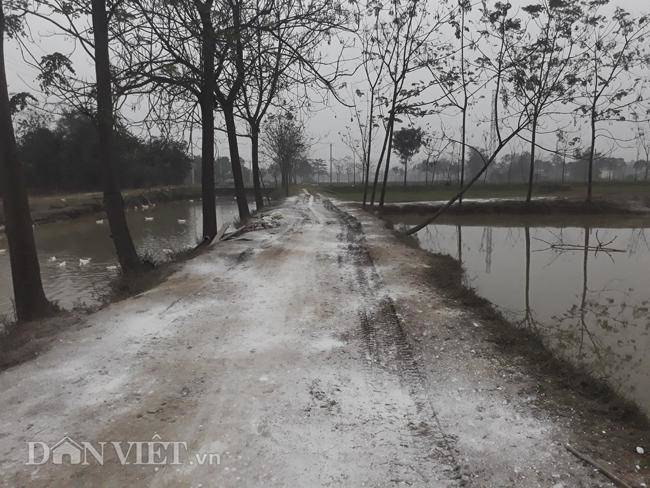 Cám cảnh nơi ổ dịch cúm A/H5N6 đầu tiên phát hiện ở Hà Nội-14