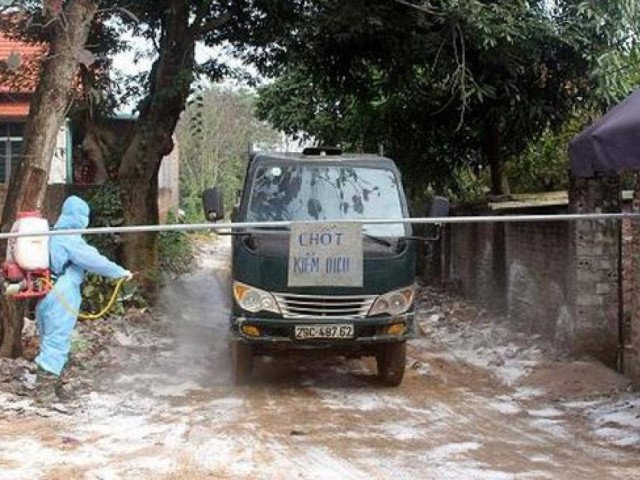 Cám cảnh nơi ổ dịch cúm A/H5N6 đầu tiên phát hiện ở Hà Nội-16