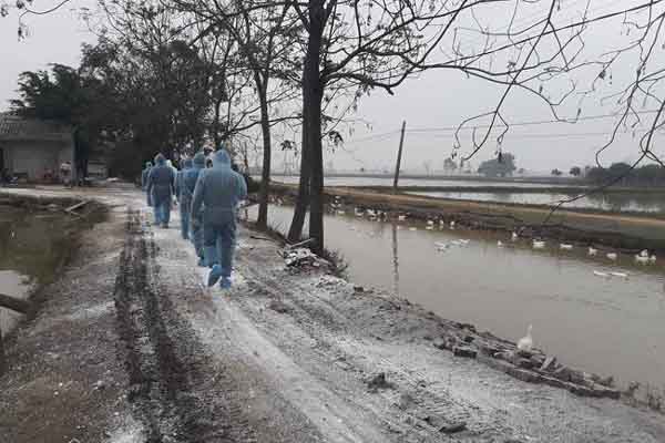 Nắng nóng: Bệnh nhân cúm A tăng bất thường, chuyên gia chỉ cách phòng ngừa-2