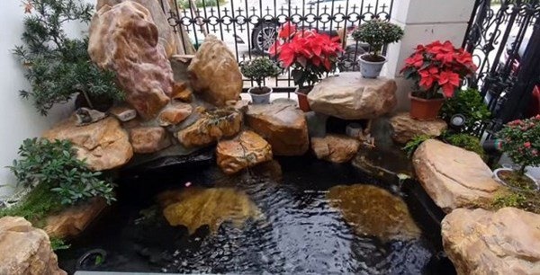 Tuấn Hưng xây dựng vườn nhỏ xinh trong biệt thự tiền tỷ, nhìn là biết đẳng cấp-5