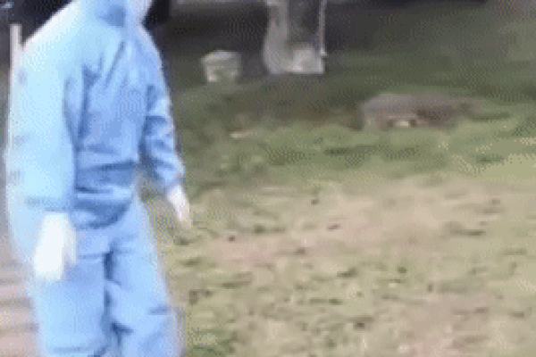 Bị 4 nước hắt hủi không cho cập cảng, lênh đênh trên biển suốt 2 tuần vì nỗi lo virus Covid-19, hành khách trên một du thuyền khác cầu cứu trong tuyệt vọng-2