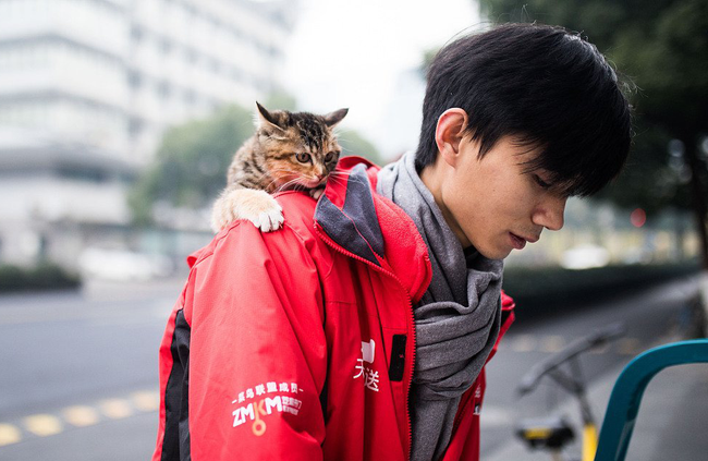 Trở về nhà sau khi đưa mèo đi khám, tôi bị vợ đóng sập cửa không cho vào kèm lời tuyên bố không thể quá đáng hơn-1