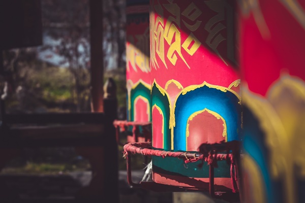 Bhutan- quốc gia hạnh phúc nhất thế giới bình tĩnh sống giữa đại dịch virus corona-8