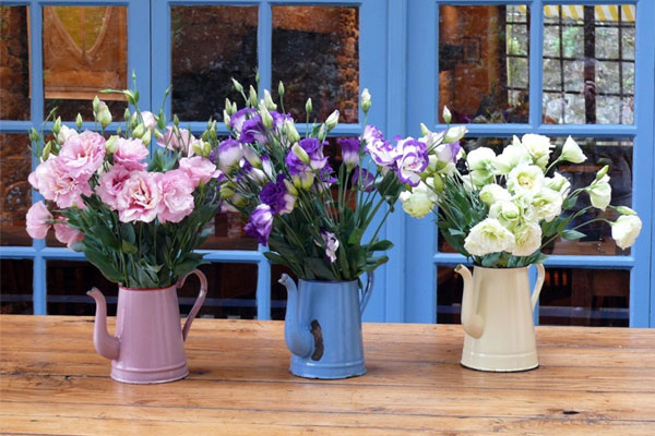 Bôi kem đánh răng lên giày thể thao: Tưởng ngớ ngẩn ai ngờ hiệu quả kỳ diệu-3