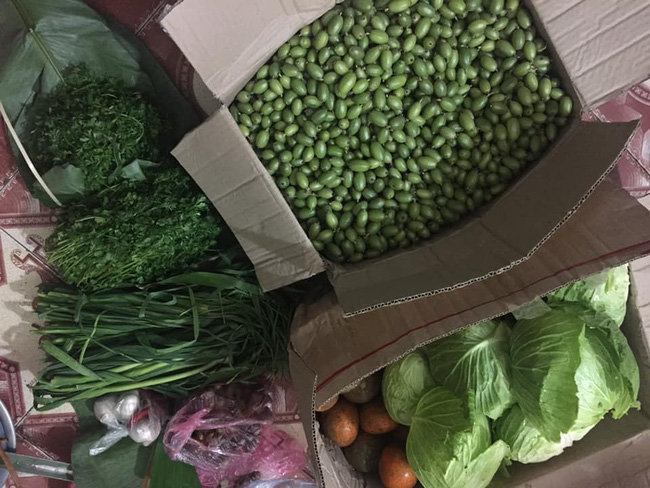 Tháng 2, chợ mạng lại sốt sình sịch nhót xanh chấm chẩm chéo giá 60 - 90k/set, dân công sở thi nhau đặt hàng vì lạ miệng-3