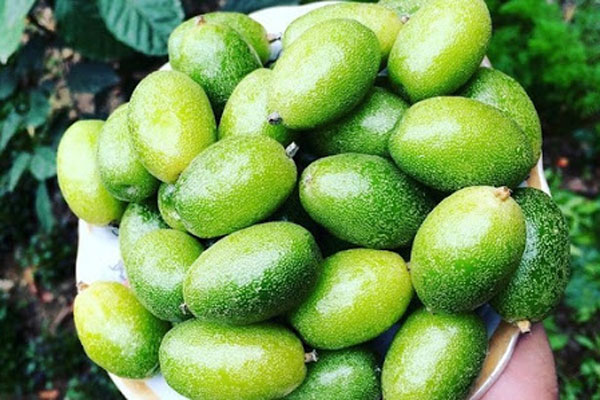 Đẩy xe nhót xanh bán dọc đường, tiểu thương kiếm tiền triệu mỗi ngày-4