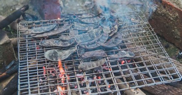 Nhỏ 1 giọt tinh dầu tràm vào khẩu trang để phòng virus corona: Chuyên gia nói gì?-2