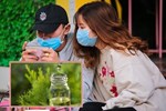 Danh tính loài dơi đang chứa hơn 500 loại virus corona cùng nhiều điều kỳ lạ sau kết quả xét nghiệm máu của người dân sống gần hang dơi-4