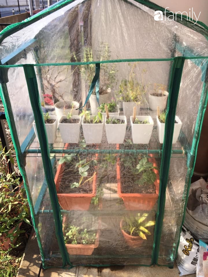 Nàng dâu Việt ở Nhật tự tay cải tạo và trang trí căn hộ đi thuê đẹp tới nỗi chị em mắt tròn mắt dẹt thán phục-29