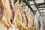 Giá thịt lợn bất ngờ tăng mạnh, trên đà chiếm đỉnh kỷ lục-3