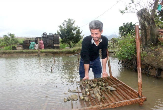 Kho ngọc quý giấu dưới bùn của anh thợ mộc trên Tây Nguyên-1