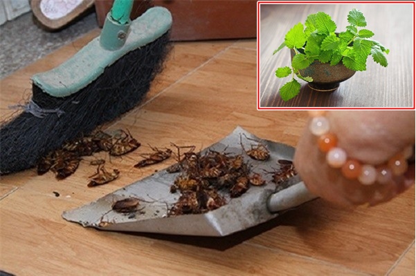 Ban công mở ngoài trời hay ban công có cửa đóng tốt hơn? Đây là những lợi ích ngoài sức tưởng tượng khi chọn đúng-22