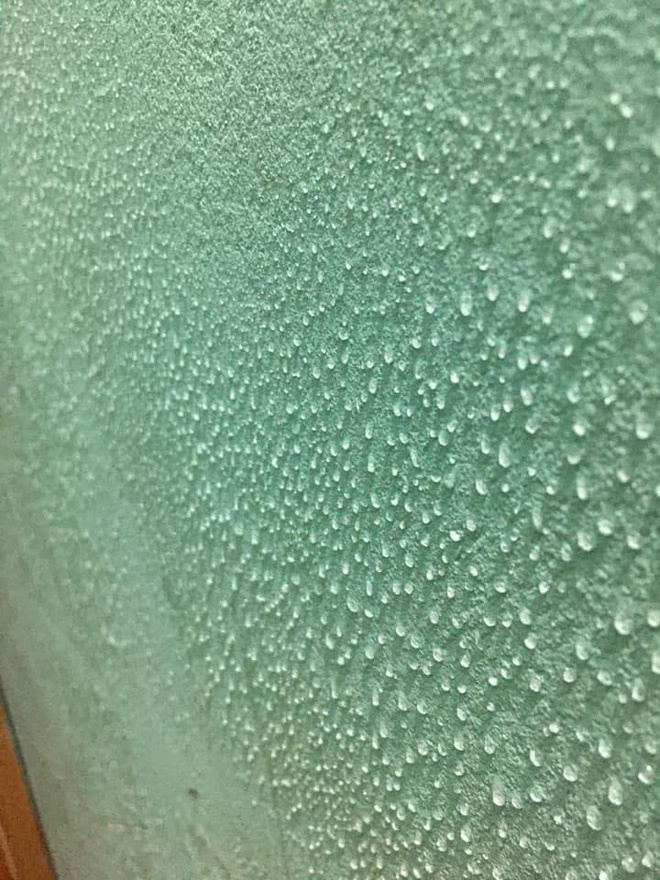 Những hình ảnh kinh hoàng về nồm ẩm: Ai cũng ngao ngán mong chờ những ngày này chấm dứt-1