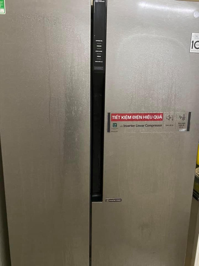 Những hình ảnh kinh hoàng về nồm ẩm: Ai cũng ngao ngán mong chờ những ngày này chấm dứt-3