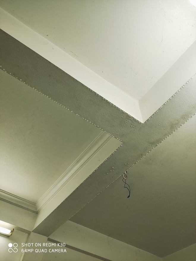 Những hình ảnh kinh hoàng về nồm ẩm: Ai cũng ngao ngán mong chờ những ngày này chấm dứt-8