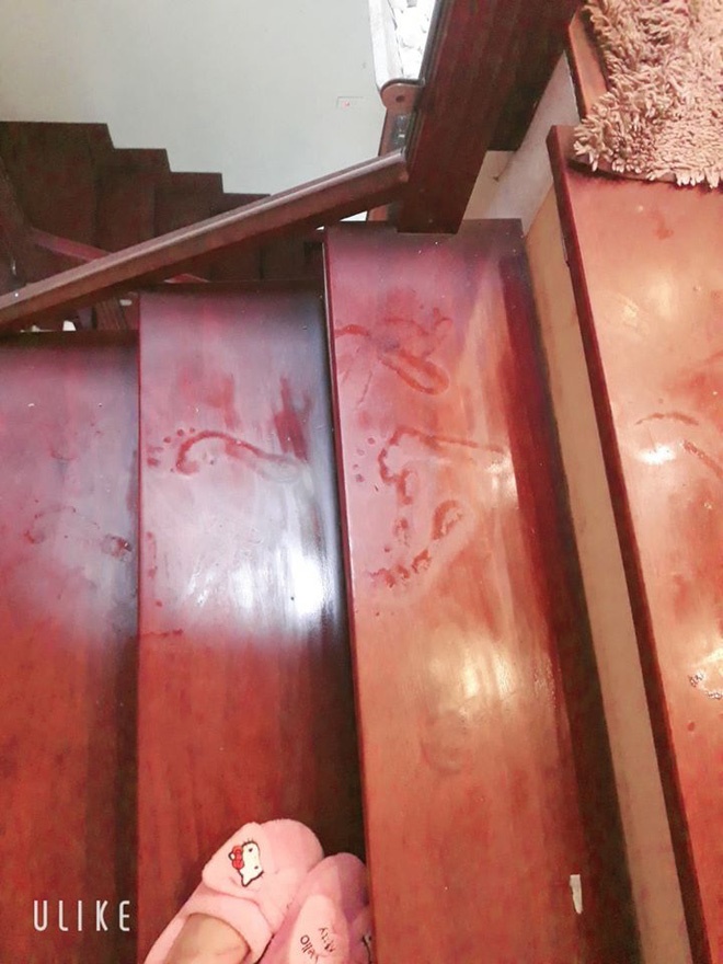 Những hình ảnh kinh hoàng về nồm ẩm: Ai cũng ngao ngán mong chờ những ngày này chấm dứt-9