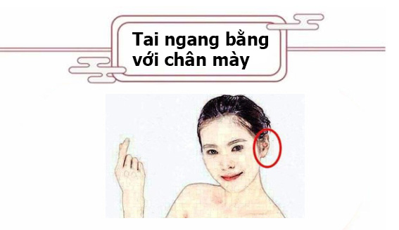 Phụ nữ sở hữu tướng tai này, trời sinh mang mệnh phụ phu nhân, là phúc tinh của gia đạo, hậu vận giàu có viên mãn không ai sánh bằng-2