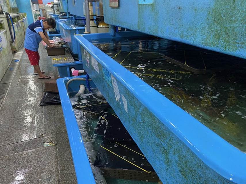 Cua hoàng đế, tôm hùm Alaska... cũng rớt giá vì dịch Covid-19-4