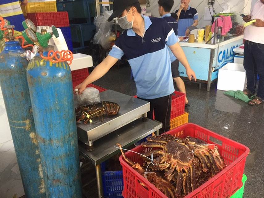 Cua hoàng đế, tôm hùm Alaska... cũng rớt giá vì dịch Covid-19-7