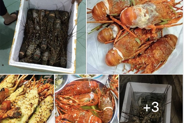 Rẻ như... cua Cà Mau-2