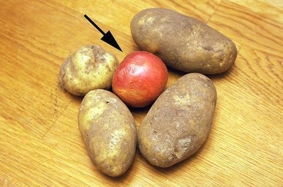 Thấy chồng bỏ quả táo vào trong rổ khoai tây, 1 tháng sau kiểm tra vợ tròn mắt vì bất ngờ-1