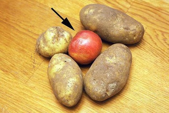 Thấy chồng bỏ quả táo vào trong rổ khoai tây, 1 tháng sau kiểm tra vợ tròn mắt vì bất ngờ