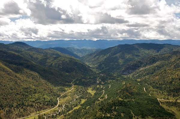 Loài đỉa nắm giữ ‘chìa khóa’ ngăn bùng phát virus corona tương lai-2