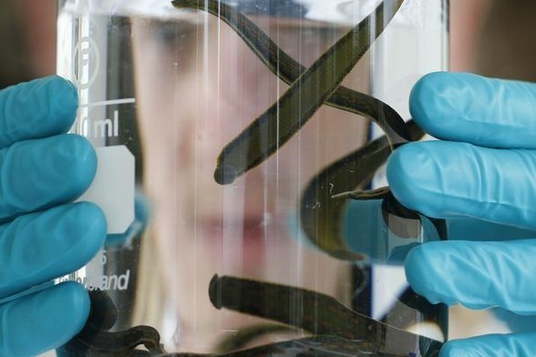 Bộ Y tế thông tin: Khánh Hoà, Thanh Hoá sắp được công bố hết dịch-2