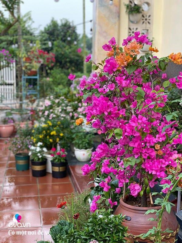Chồng bỏ tiền mua lốp xe cũ, mẹ 8x trồng hoa, sau 2 năm thành mảnh vườn 200m2 tuyệt đẹp-5