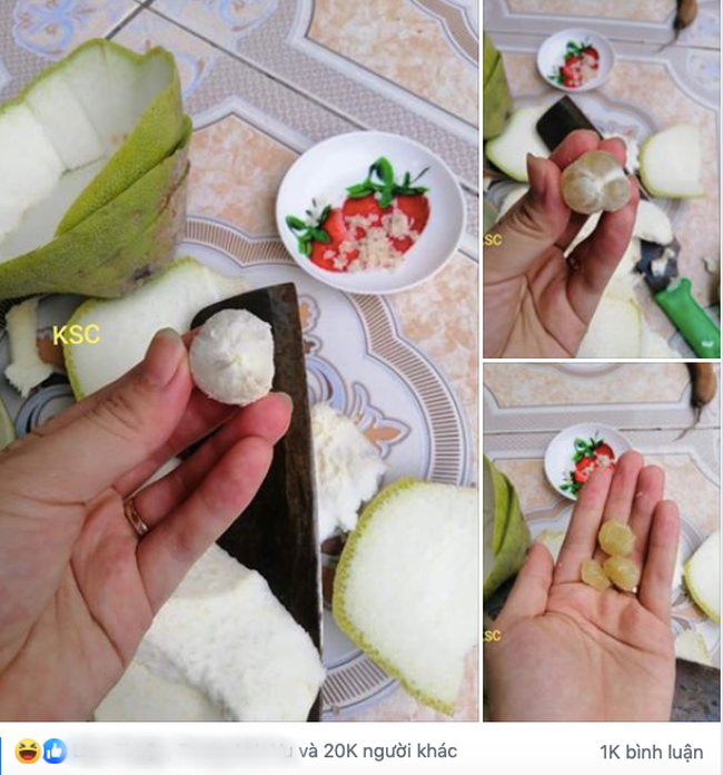 Nghe lời người bán quảng cáo bưởi ngon, ngọt lắm em ơi, đến khi bổ ra chàng trai tá hỏa nhìn phần ruột chẳng khác nào... củ tỏi!?-1