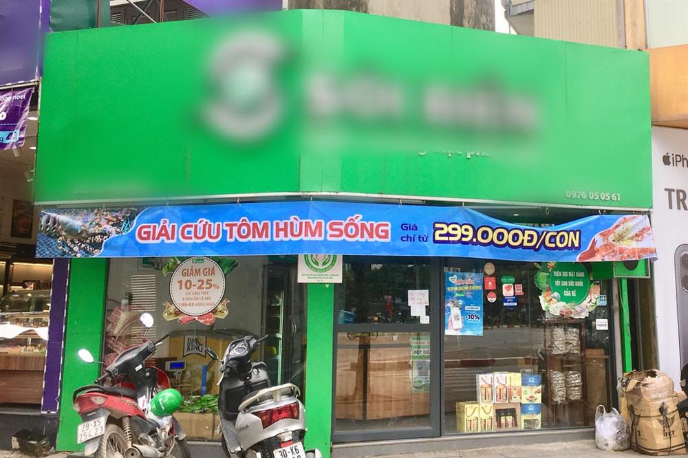 Rộ giải cứu tôm hùm, giá chỉ từ 495.000 đồng/kg-2