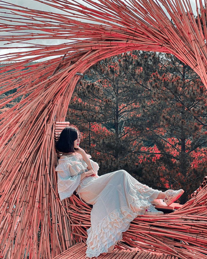 Vợ chồng Văn Đức - Nhật Linh đi hưởng tuần trăng mặt ở Đà Lạt, khoe ảnh sống ảo ở khung cảnh đẹp mê hồn-2