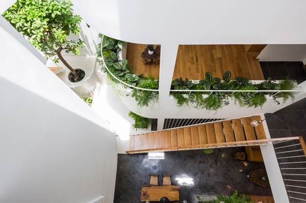 Ông bố Sài Gòn xây nhà đẹp như mơ tặng con gái rượu-4