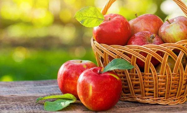 Điểm danh 4 thực phẩm có thể gây ung thư cho trẻ, 3 thứ hầu hết các bé đều nghiện-4