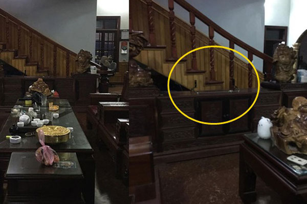 CLIP: Đang trộm cây bỗng gặp biến, cô gái vẫn mặt dày quay lại làm liều-1