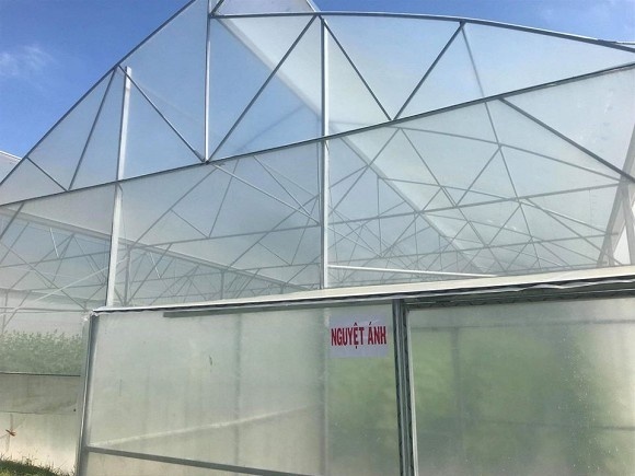 Khám phá nông trại dưa trĩu quả của diễn viên Nguyệt Ánh-2