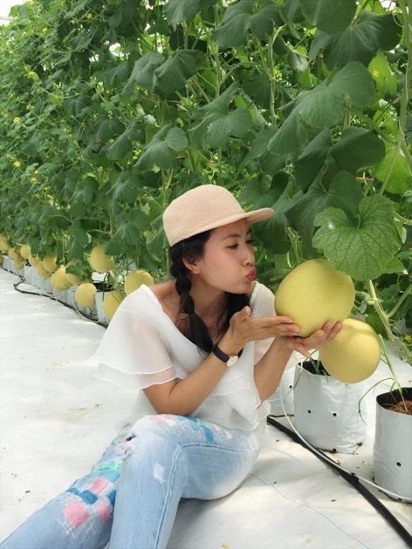 Khám phá nông trại dưa trĩu quả của diễn viên Nguyệt Ánh-15