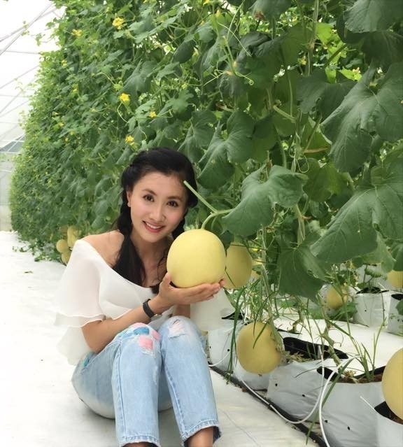 Khám phá nông trại dưa trĩu quả của diễn viên Nguyệt Ánh-16