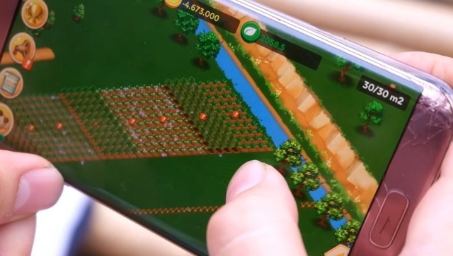 Lo thực phẩm bẩn, nhà giàu Hà Nội đua nhau thuê đất tự trồng rau ăn-3