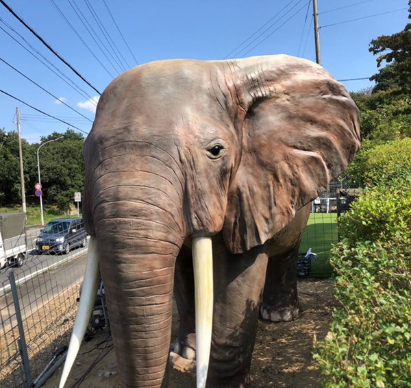 Đang đi trên đường, người đàn ông bất ngờ bắt gặp người phụ nữ bám phía sau xe buýt liền gọi cảnh sát trước khi nhận ra sự thật ngỡ ngàng-2