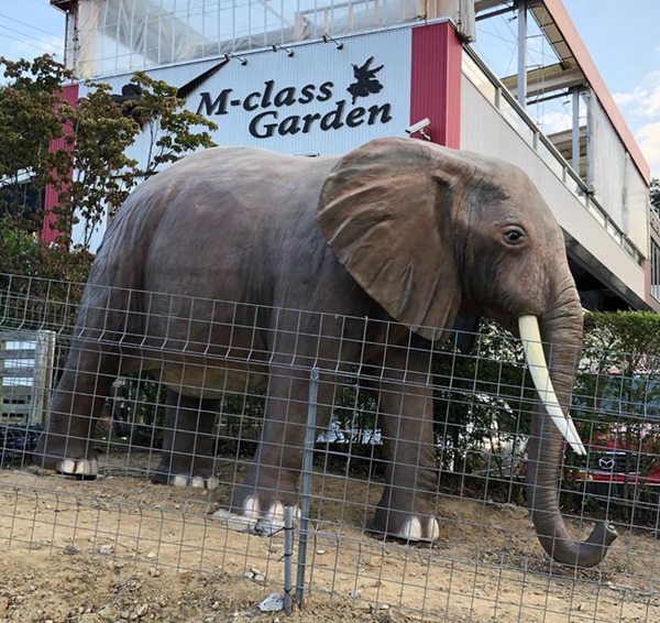 Đang đi trên đường, người đàn ông bất ngờ bắt gặp người phụ nữ bám phía sau xe buýt liền gọi cảnh sát trước khi nhận ra sự thật ngỡ ngàng-3