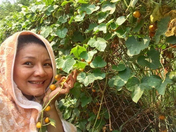 1 năm trốn phố về Bình Phước trồng rau, Kiều Trinh khoe vườn nhà trĩu quả-10